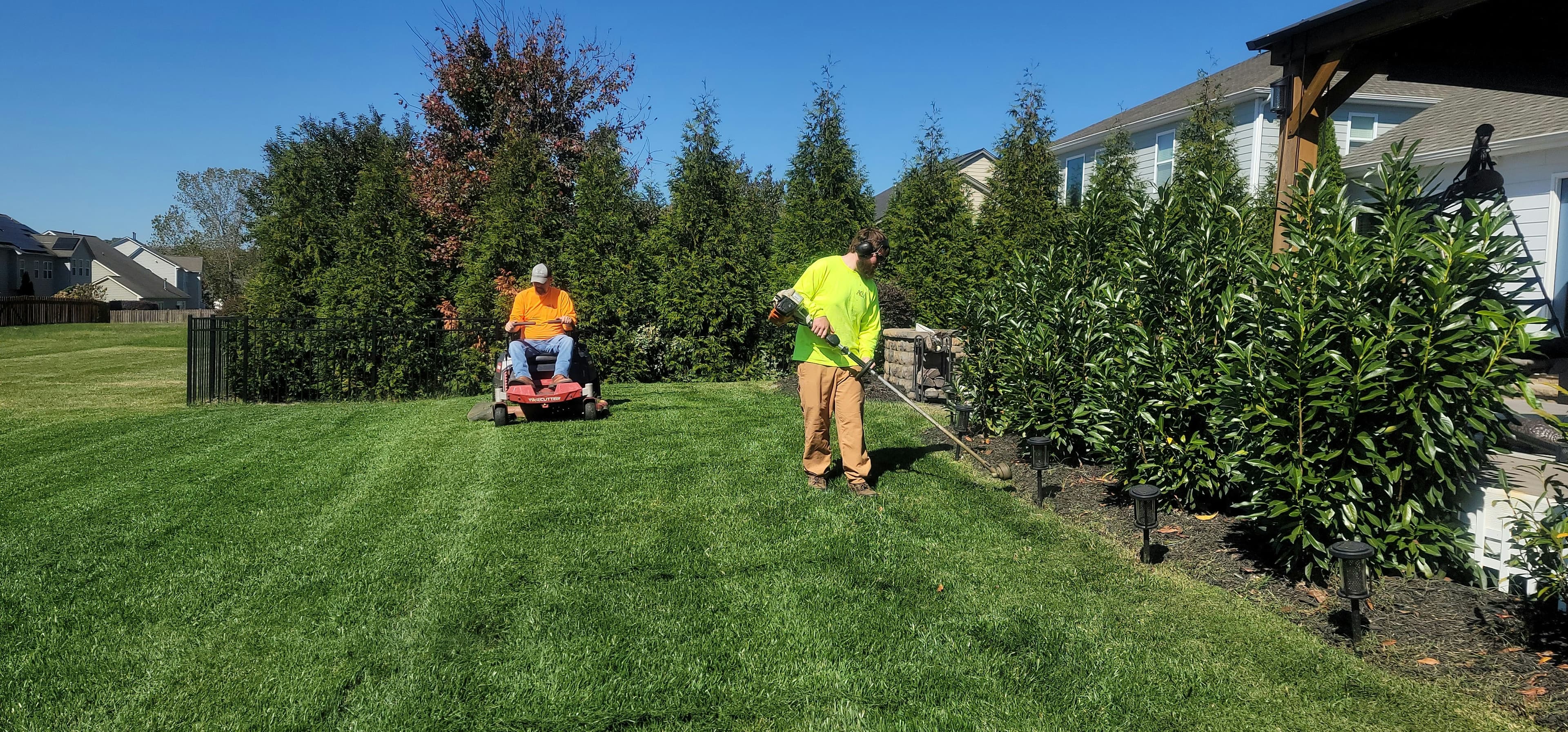 Beautifully manicured lawn with lush green hedges